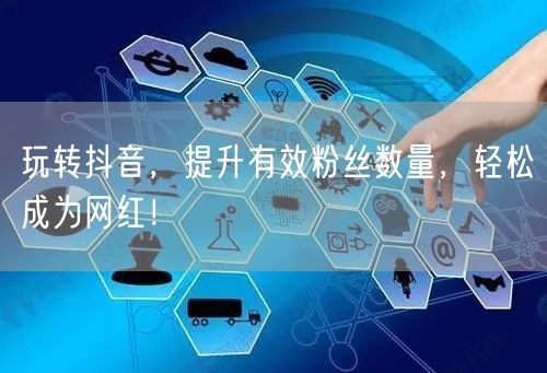 玩转抖音，提升有效粉丝数量，轻松成为网红！