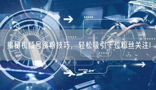 揭秘视频号涨粉技巧，轻松吸引千位粉丝关注!