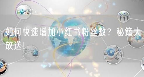 如何快速增加小红书粉丝数？秘籍大放送！