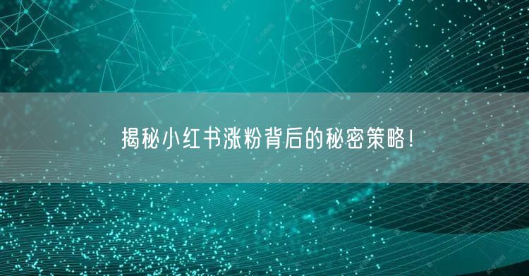 揭秘小红书涨粉背后的秘密策略！
