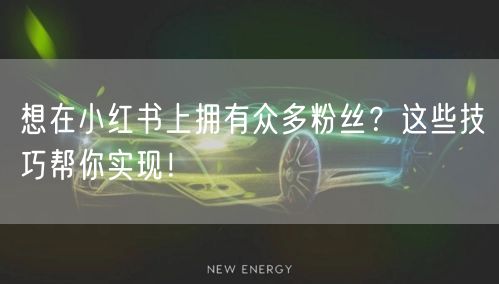 想在小红书上拥有众多粉丝？这些技巧帮你实现！