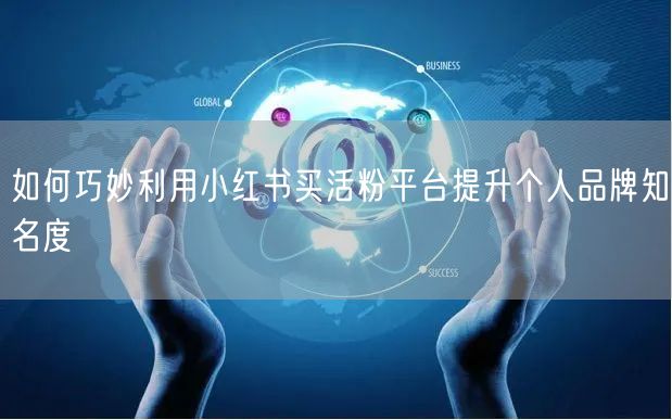 如何巧妙利用小红书买活粉平台提升个人品牌知名度