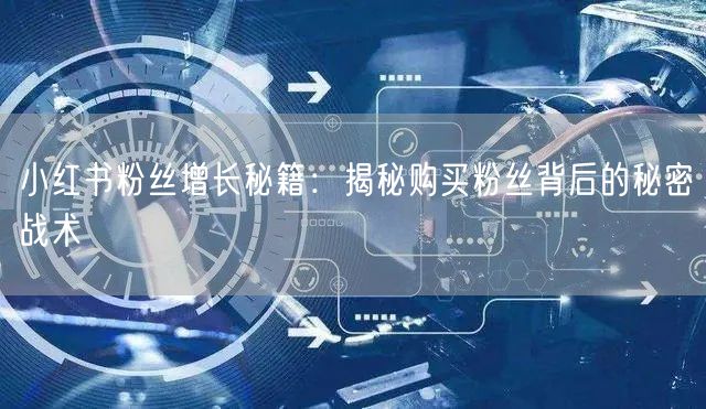 小红书粉丝增长秘籍：揭秘购买粉丝背后的秘密战术