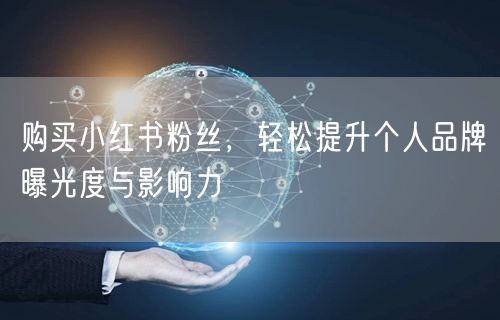 购买小红书粉丝，轻松提升个人品牌曝光度与影响力