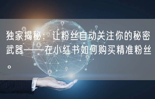 独家揭秘：让粉丝自动关注你的秘密武器——在小红书如何购买精准粉丝。