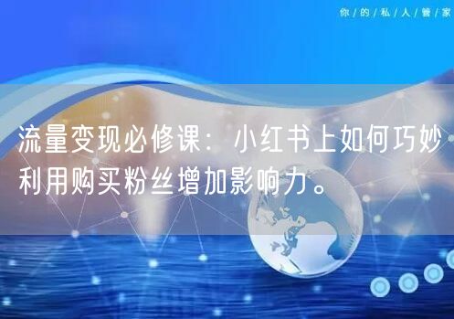 流量变现必修课：小红书上如何巧妙利用购买粉丝增加影响力。