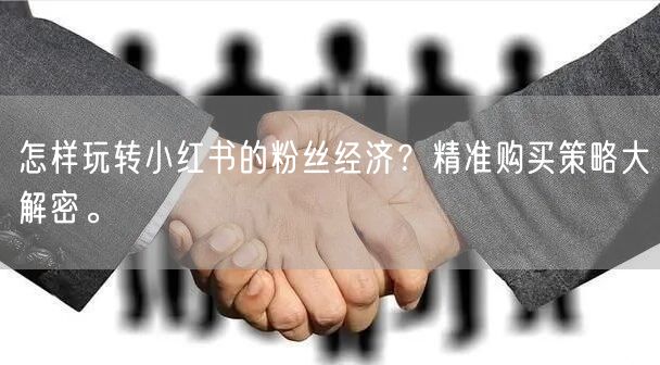 怎样玩转小红书的粉丝经济？精准购买策略大解密。