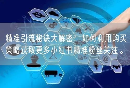 精准引流秘诀大解密：如何利用购买策略获取更多小红书精准粉丝关注。