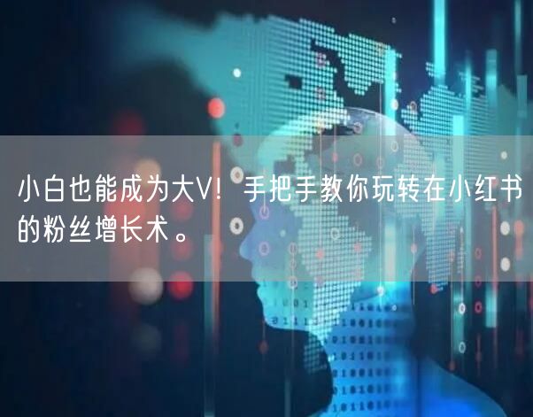 小白也能成为大V！手把手教你玩转在小红书的粉丝增长术。